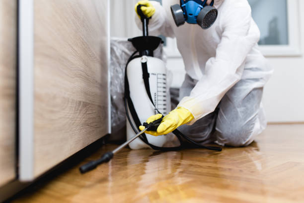 Best Pest Control for Businesses  in Largo, FL