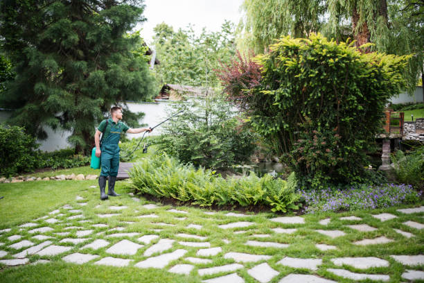 Best Mosquito Control Services  in Largo, FL